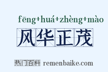 风华正茂是什么意思的图片